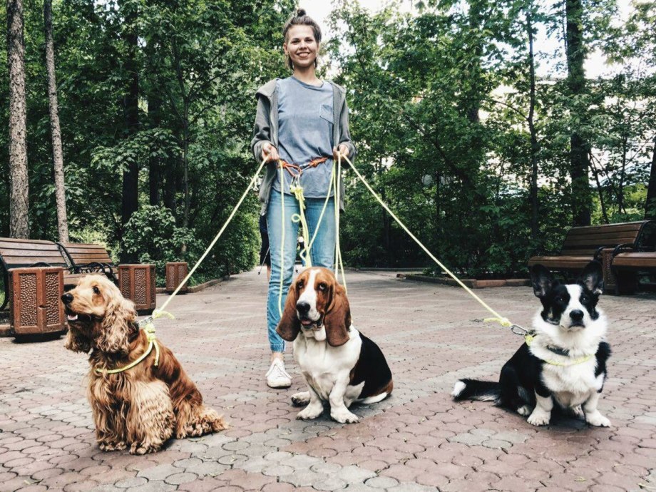 Пояс выгульщика собак