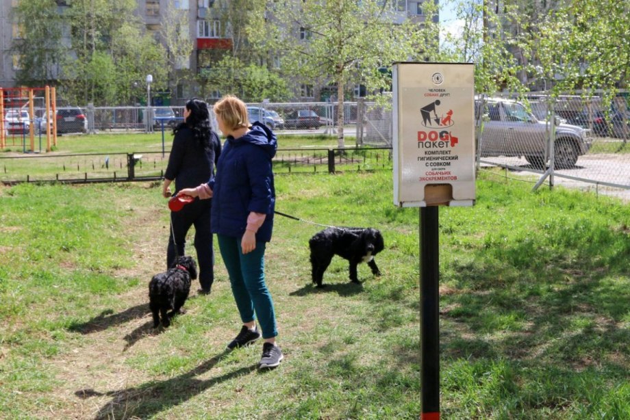 Выгуливание собаки в городе