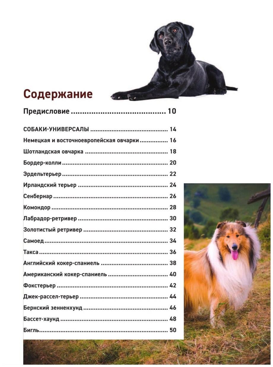 Большая книга пород собак