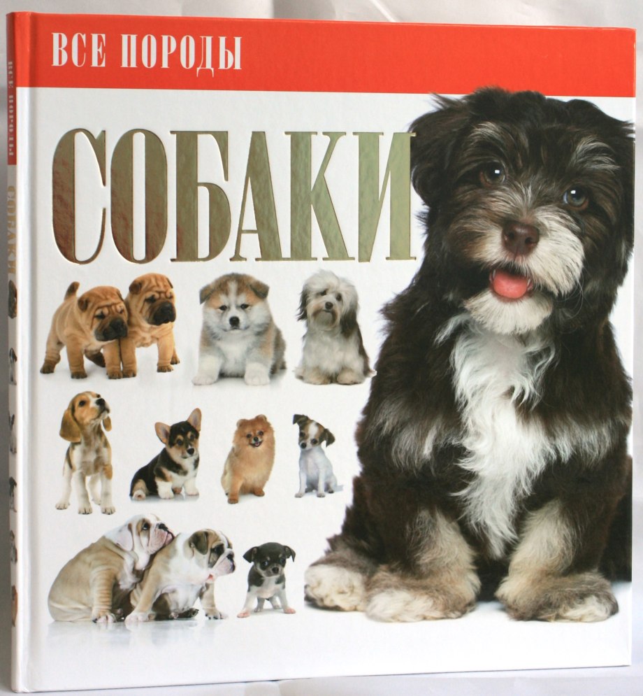 Собака с книжкой