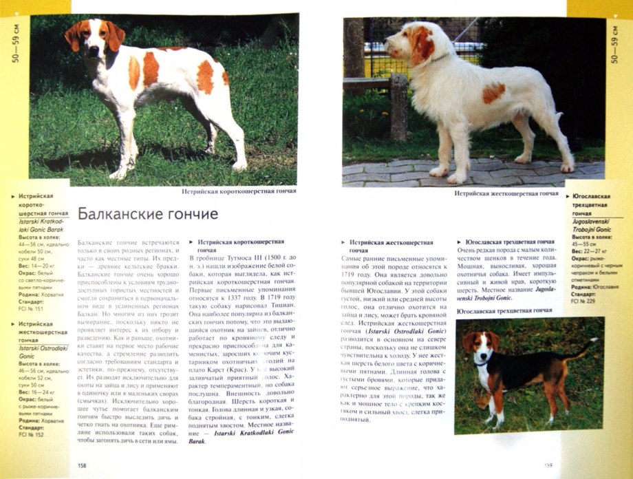 Лукьянов иллюстрированная энциклопедия собак