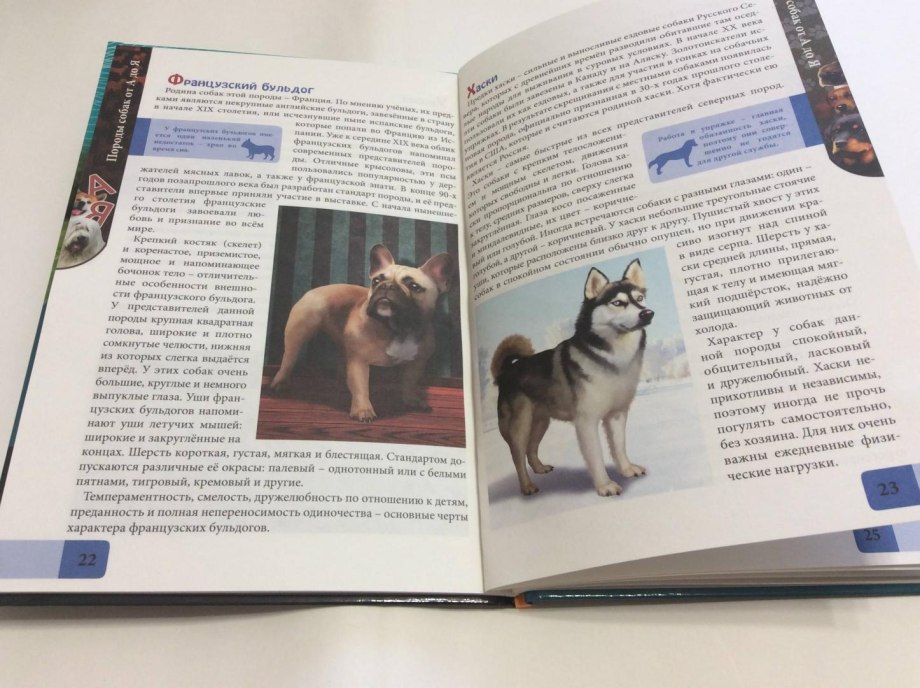 Большая иллюстрированная энциклопедия собаки