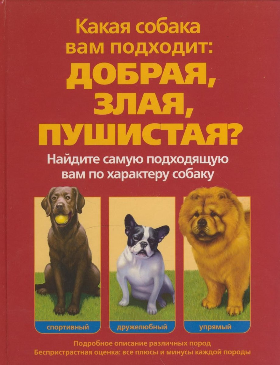 Типы шерсти у собак с породами