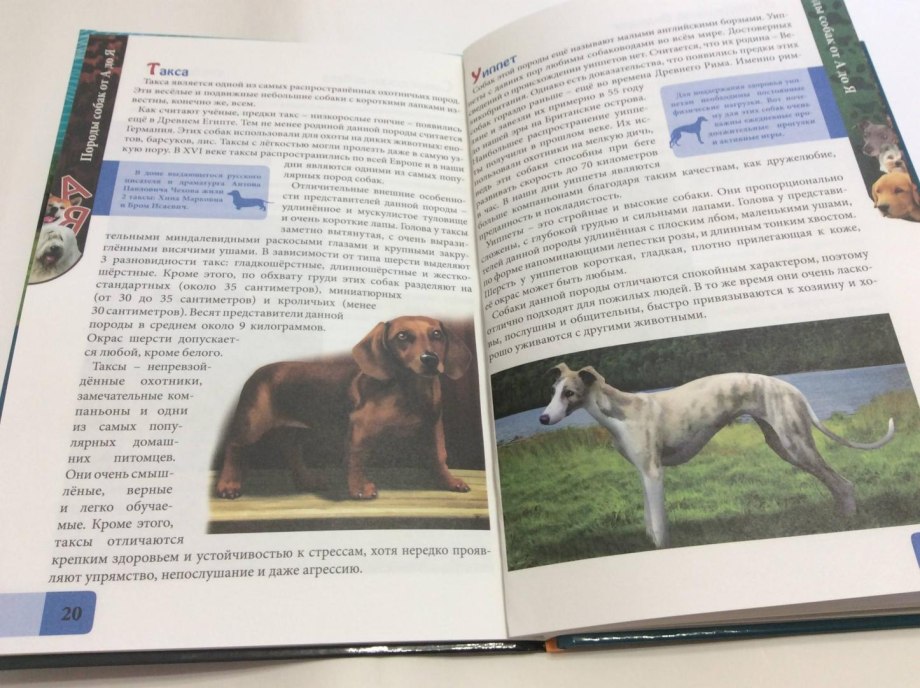 Собаки. Самая полная энциклопедия Владимир Круковер книга
