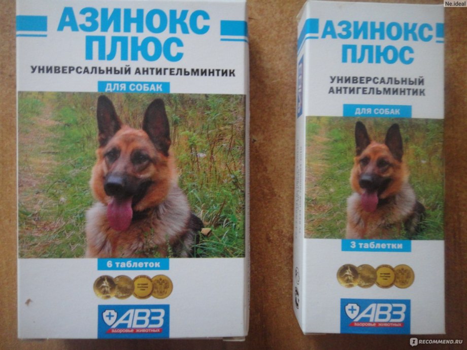 АВЗ азинокс плюс 6таб