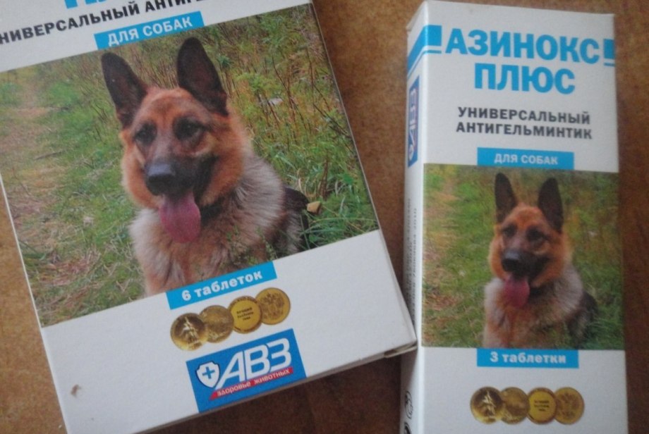 Препараты от глистов для собак азинокс плюс
