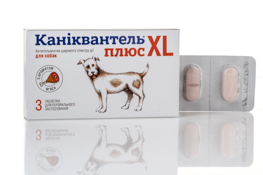 Таблетки от глистов для кошек и собак