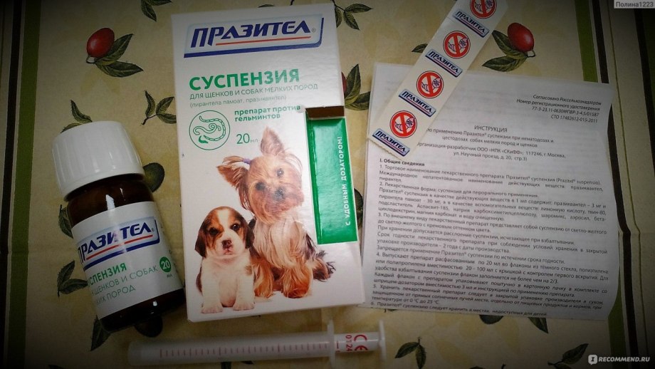 Лекарство от глистов для Йорка