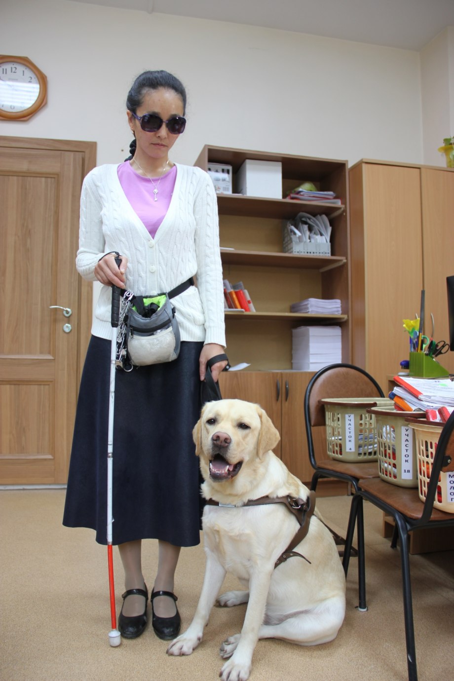 Лабрадор поводырь