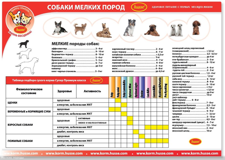 Таблица собак по породам