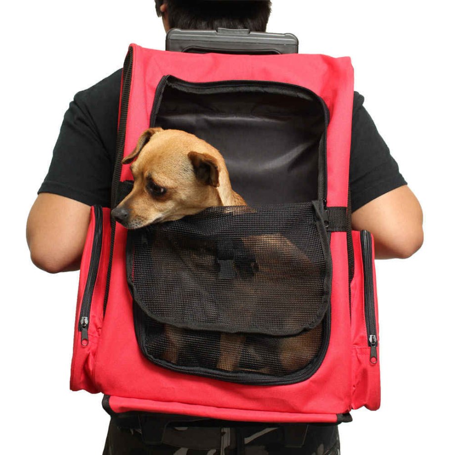 Рюкзак переноска Carrier Dog