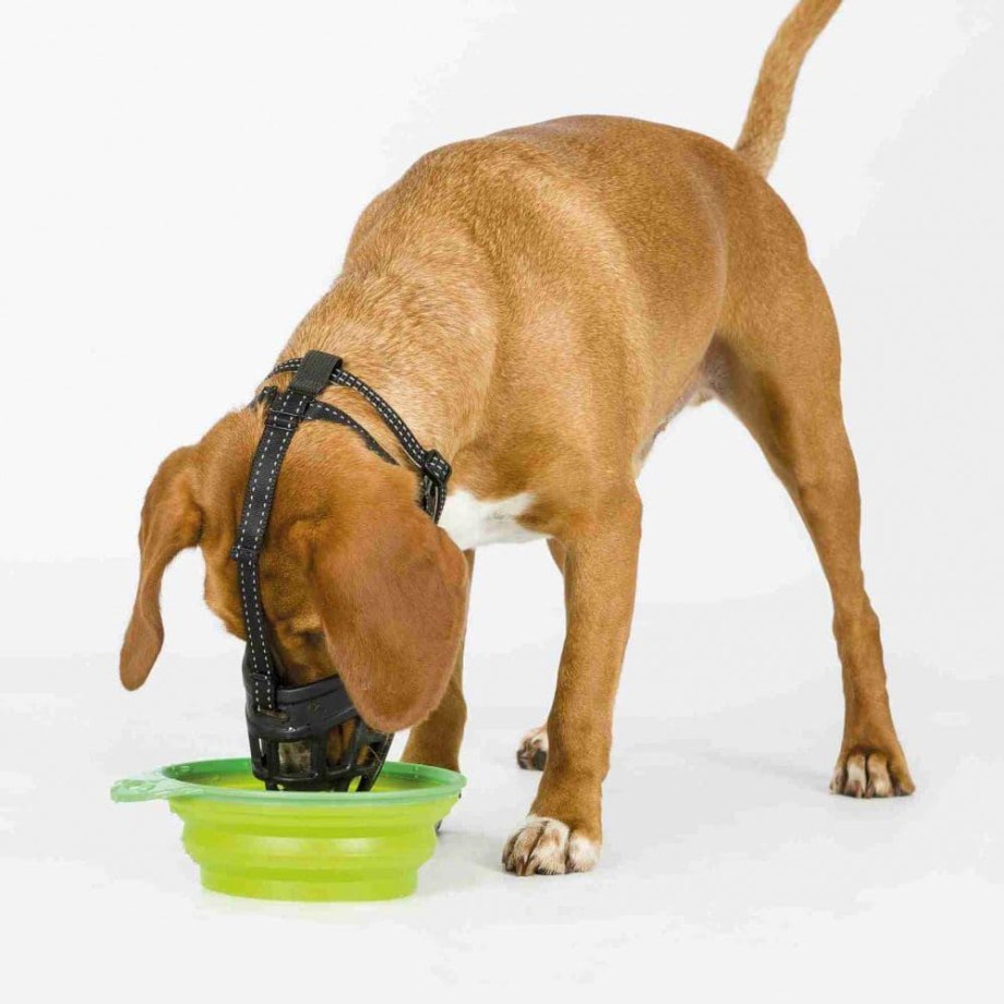 Намордник Trixie Muzzle Flex