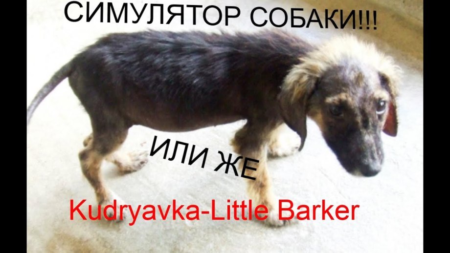 Демодекоз пустулезная форма