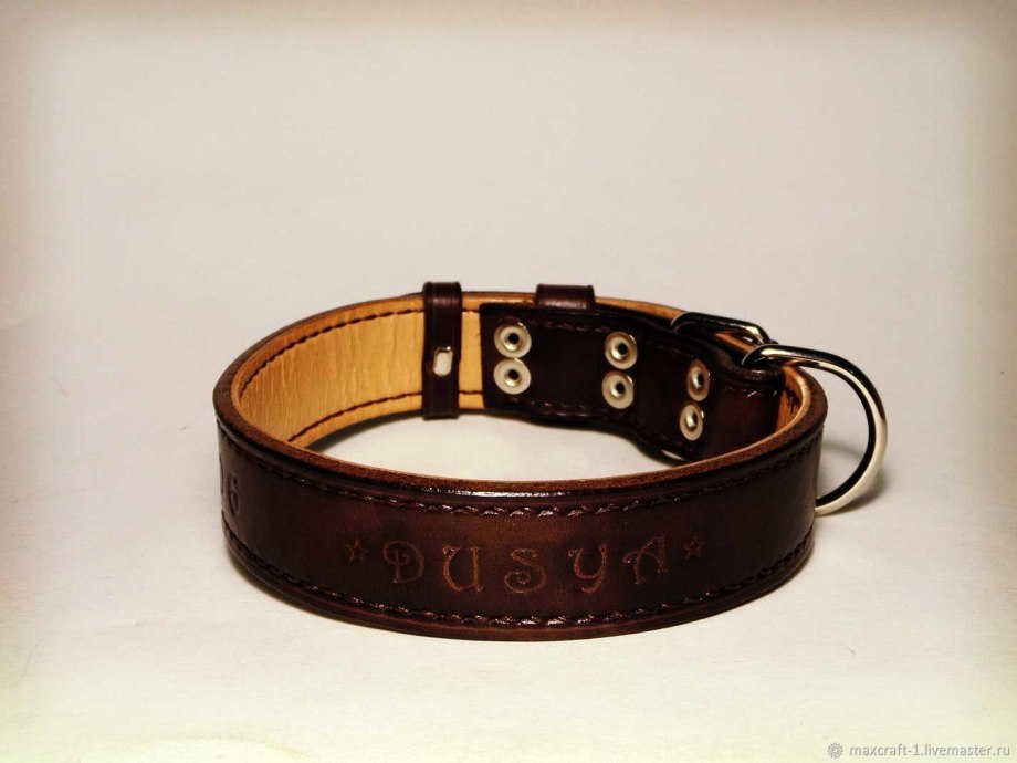 Collar Evolutor ошейник