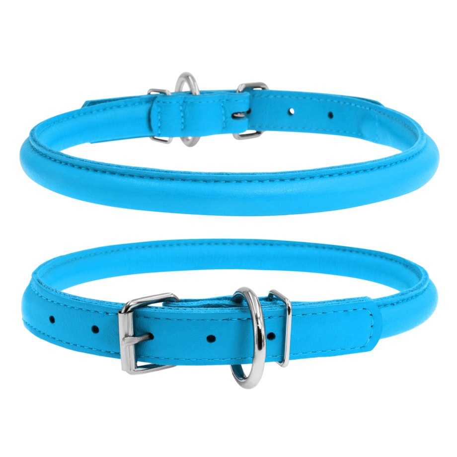 Collar Evolutor ошейник