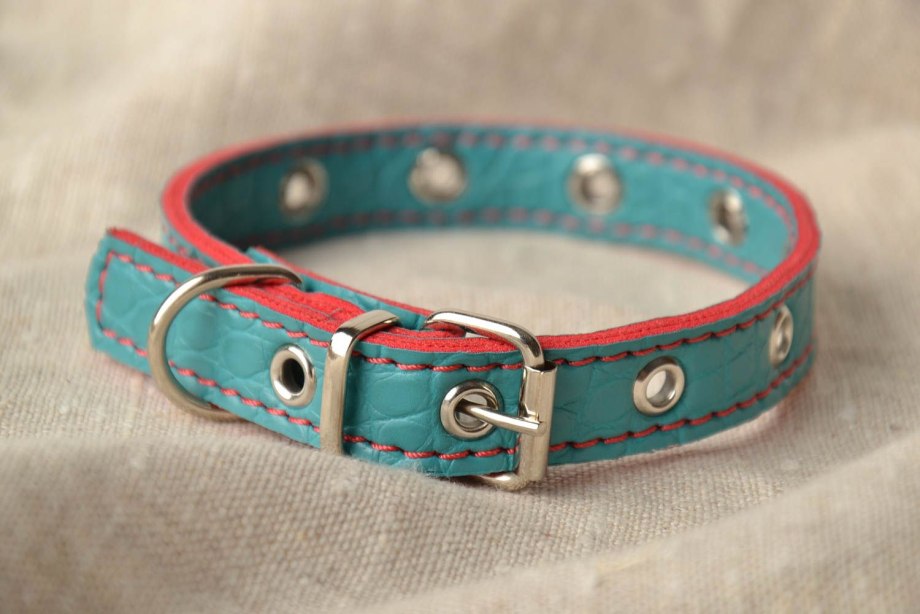 Ошейник Collar двойной 0012 27-35 см