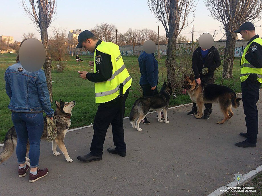 Выгул собак без намордника
