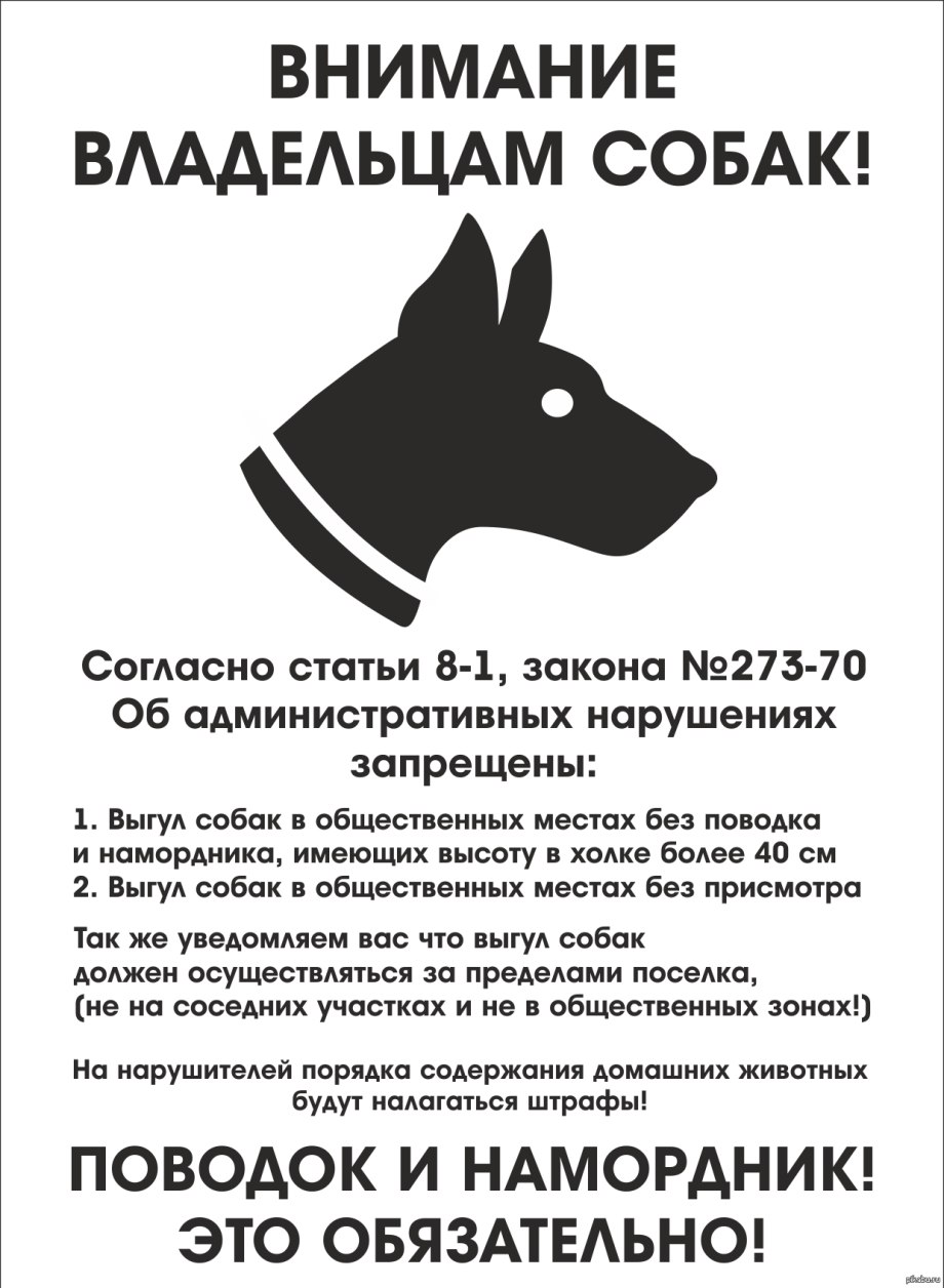Потенциально опасные собаки намордники