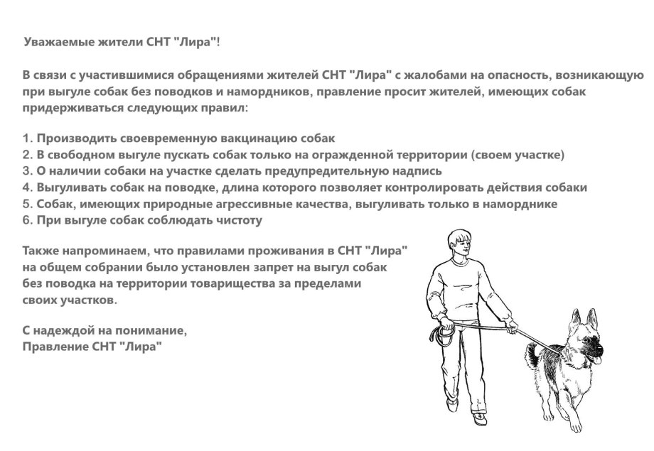 Площадка для собак