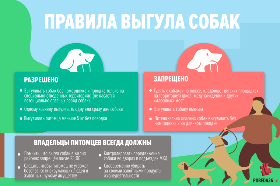 Мужчина выгуливает собаку