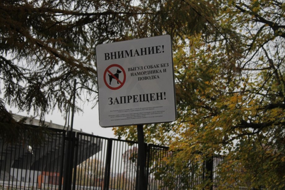 Выгул собак на детских площадках