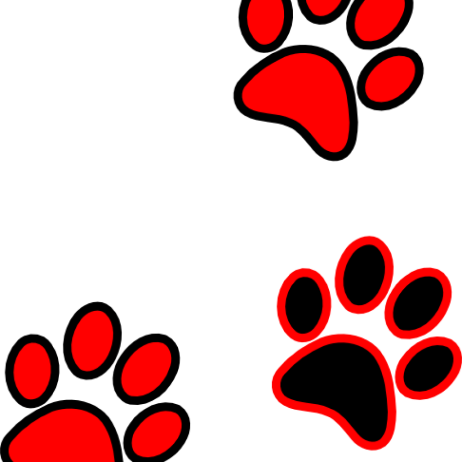 Лапки кошки