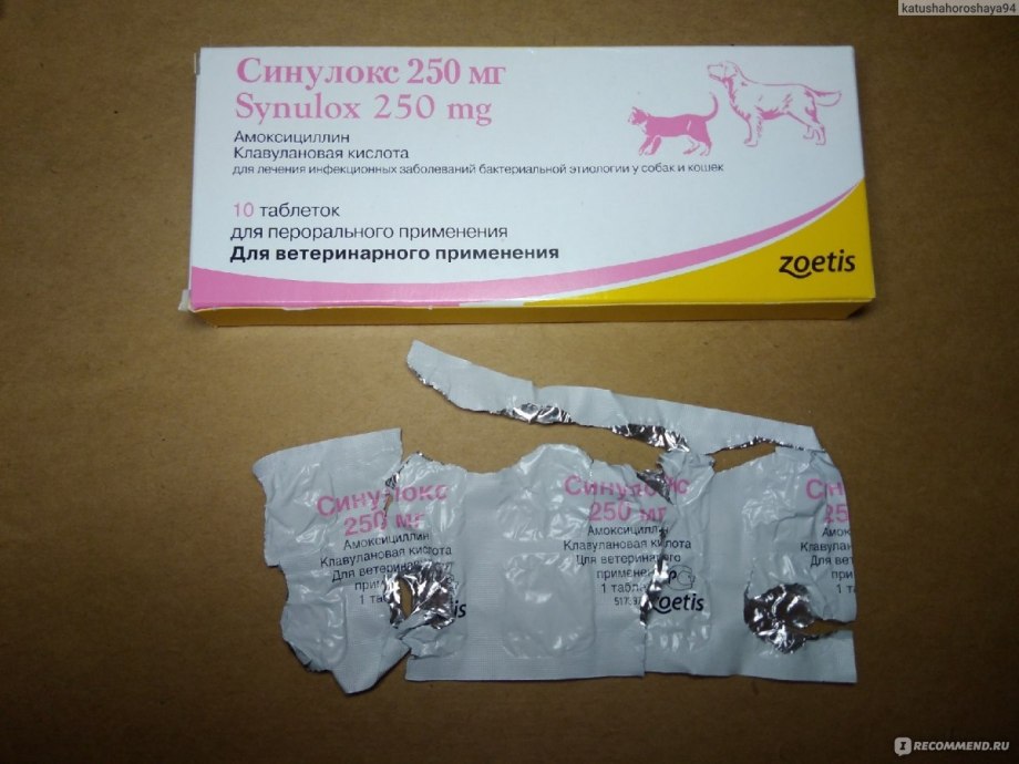 Синулокс от цистита для собаки