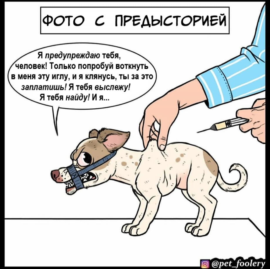 Собака роет ямы во дворе