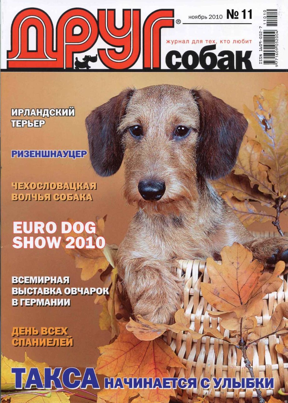 Журнал собака