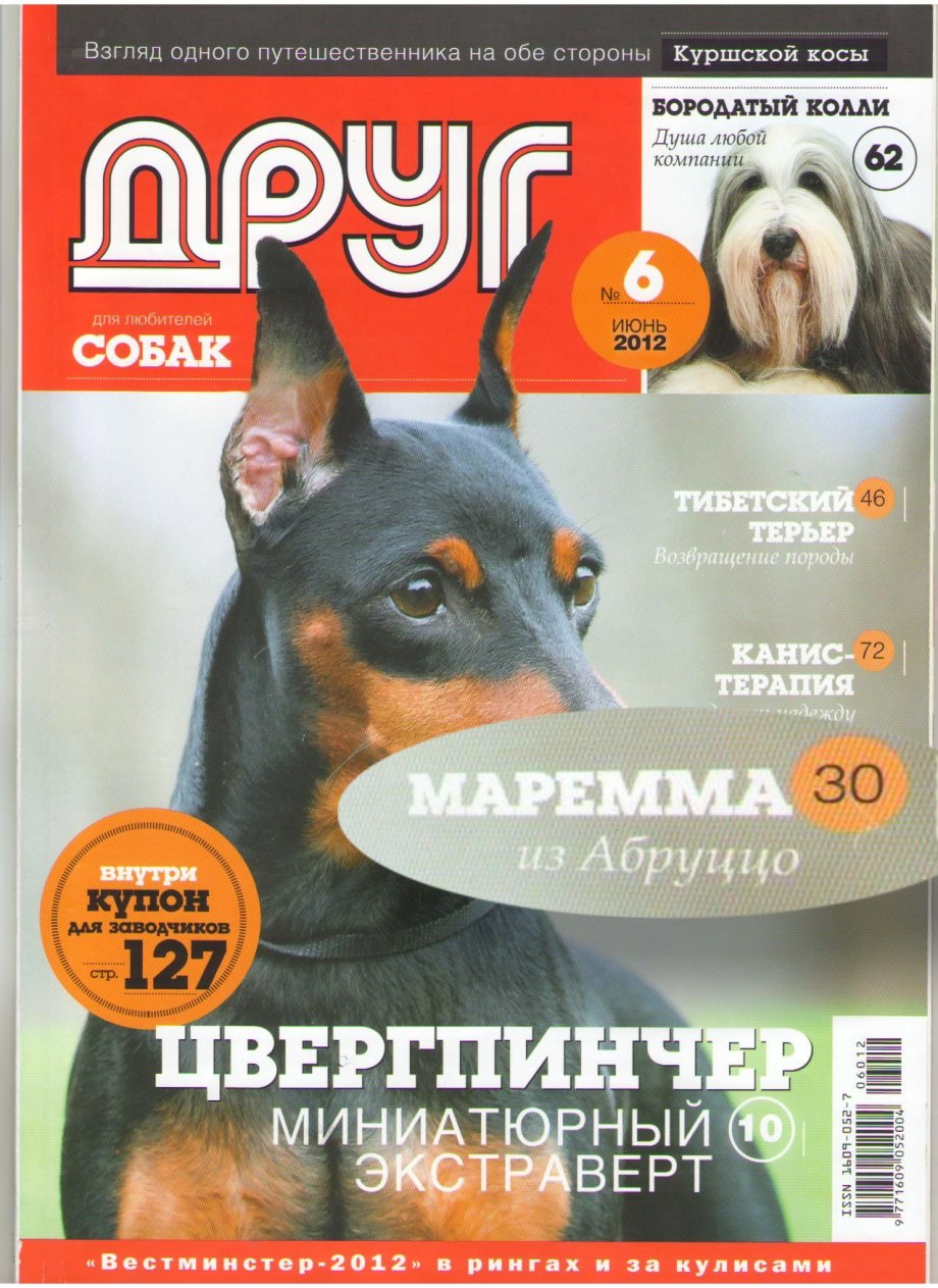 Журнал собака