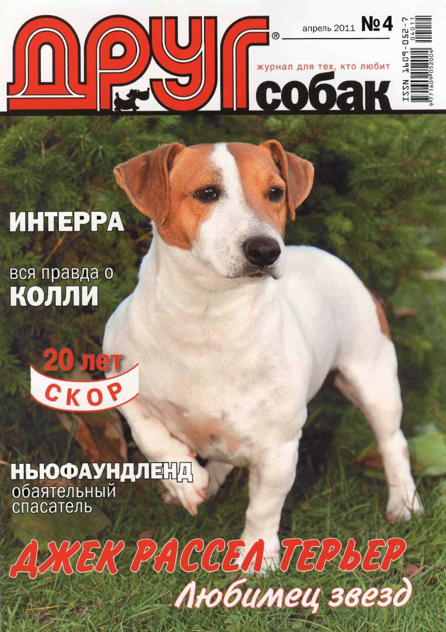 Детям о собаках в детском саду