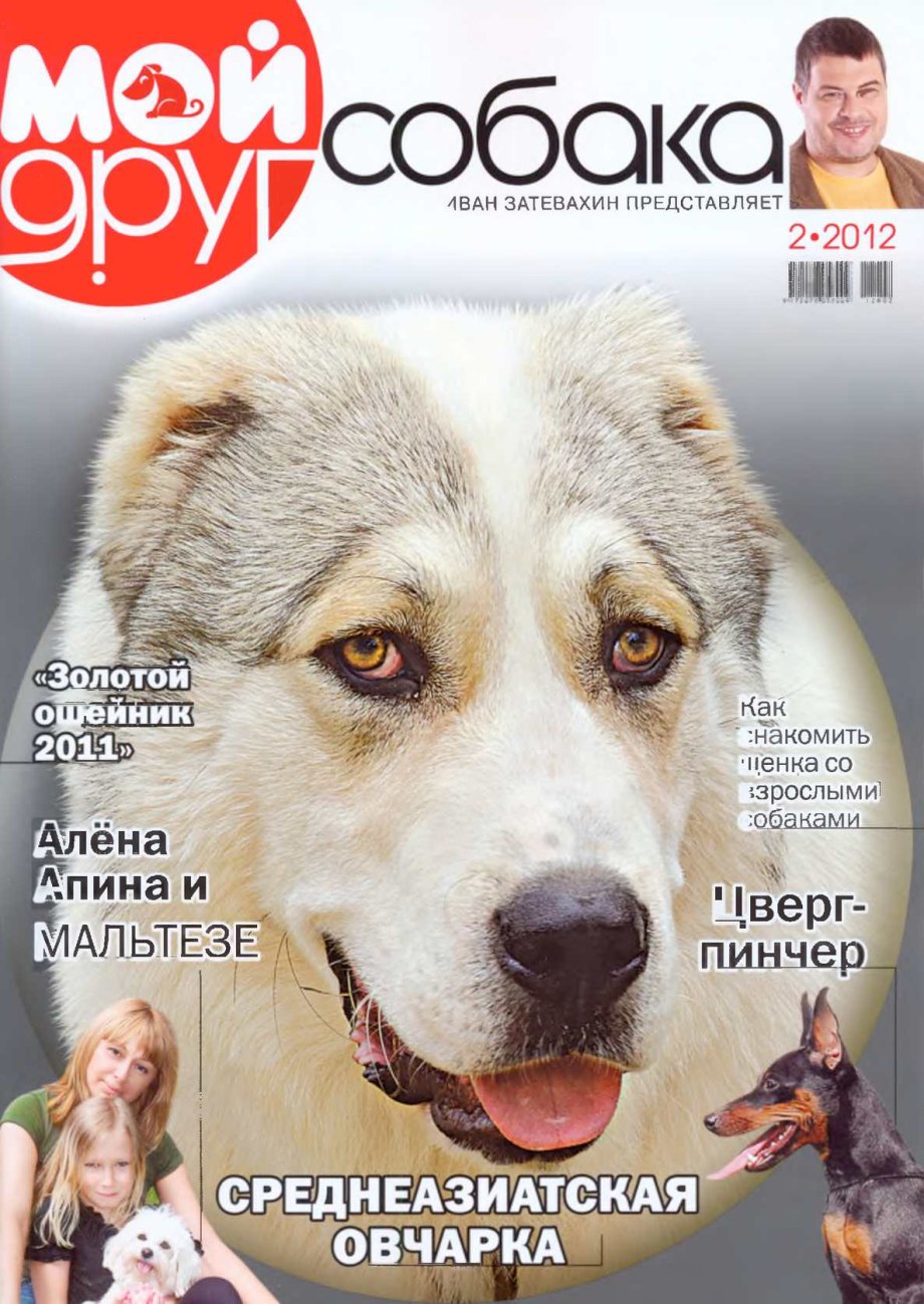 Журнал кот и пес