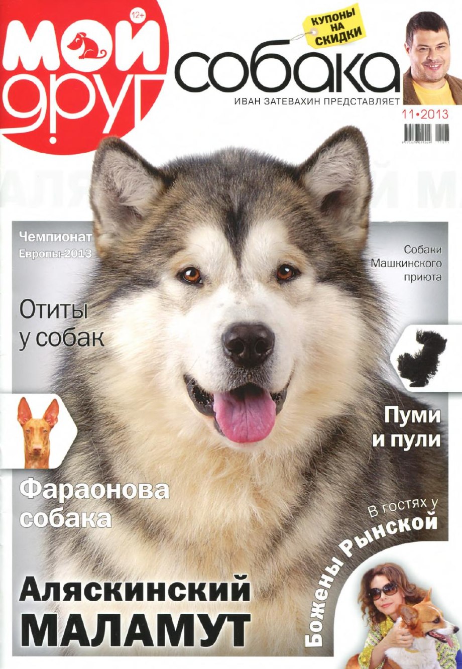 Журнал Барбос