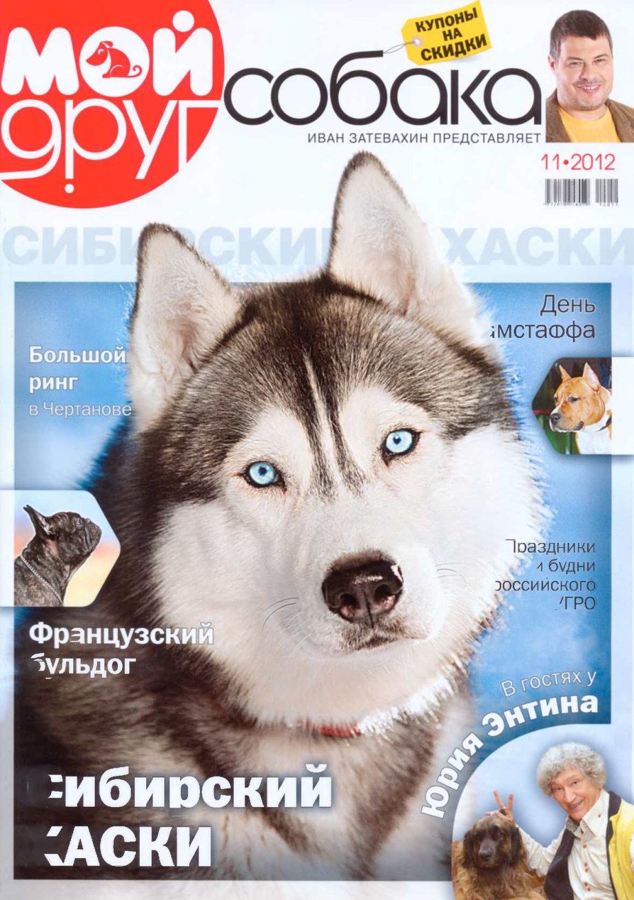 Мой друг собака журнал