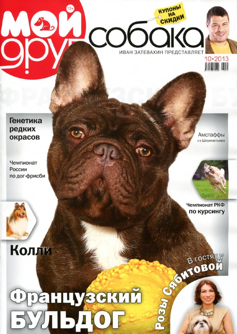 Журнал собака