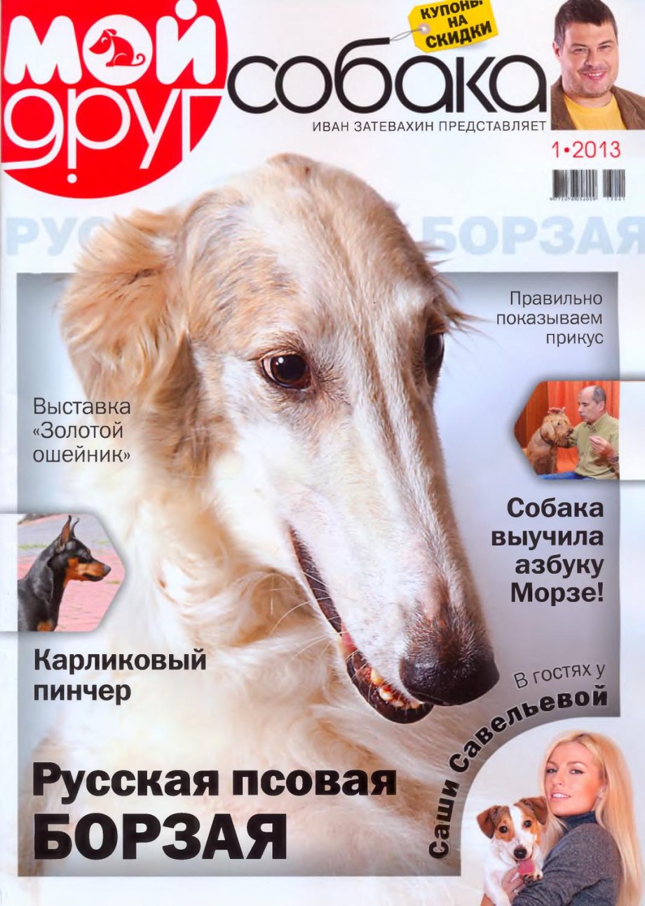 Журнал собака обложки