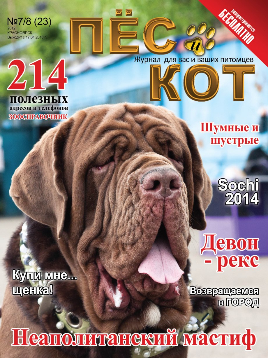 Журнал кот и пес 2004 год