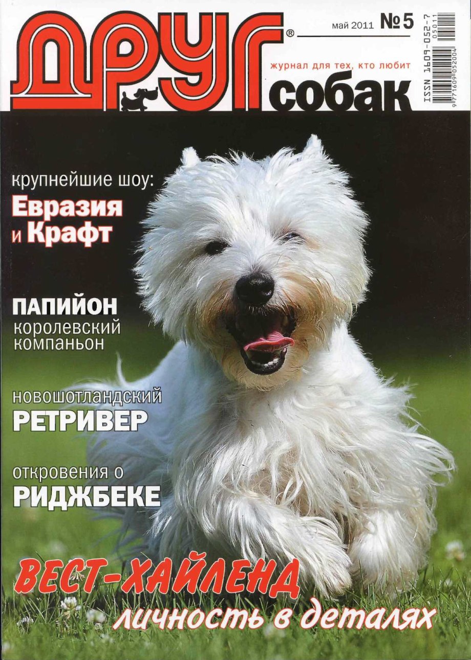 Журнал собака
