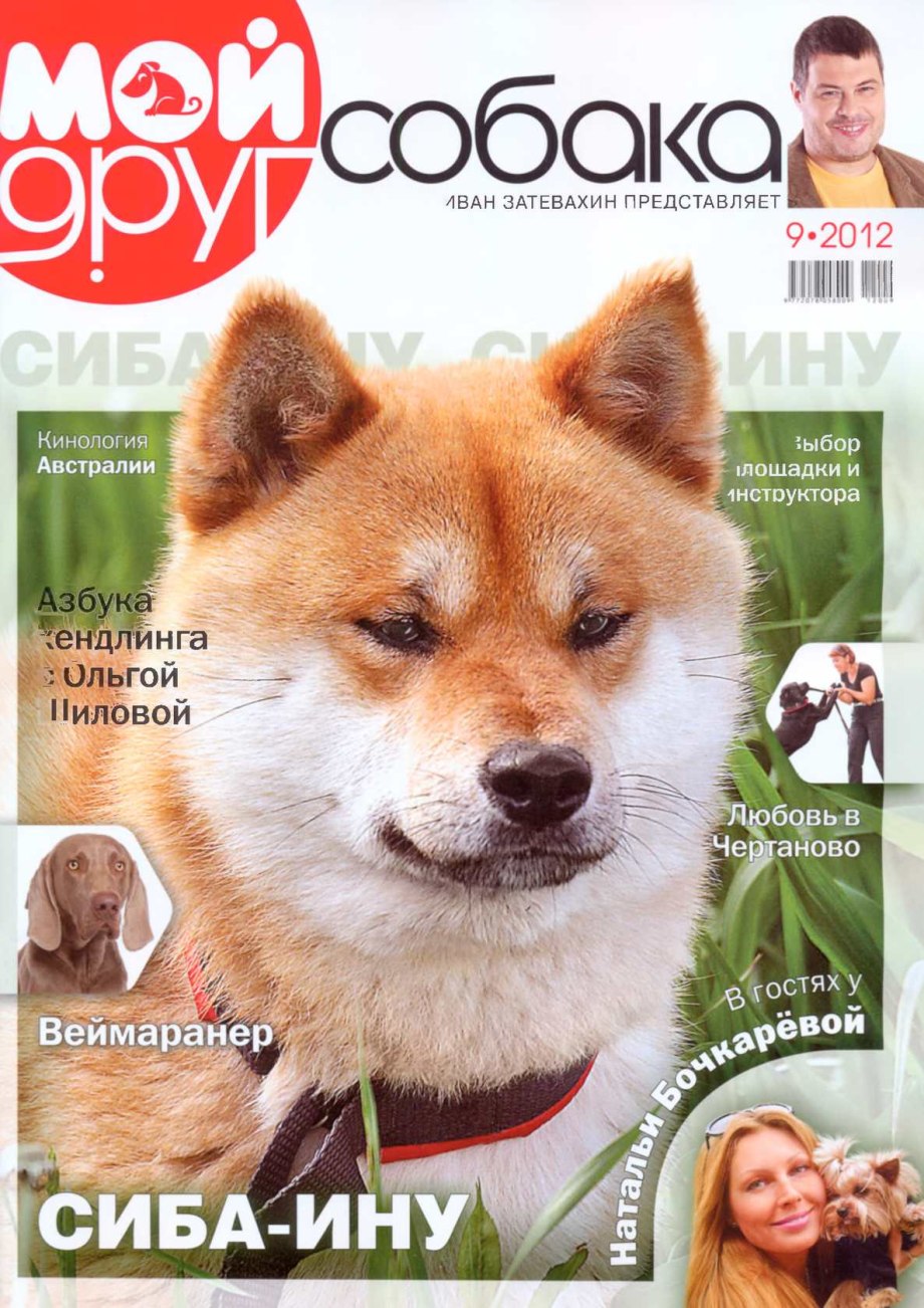 Журнал собака
