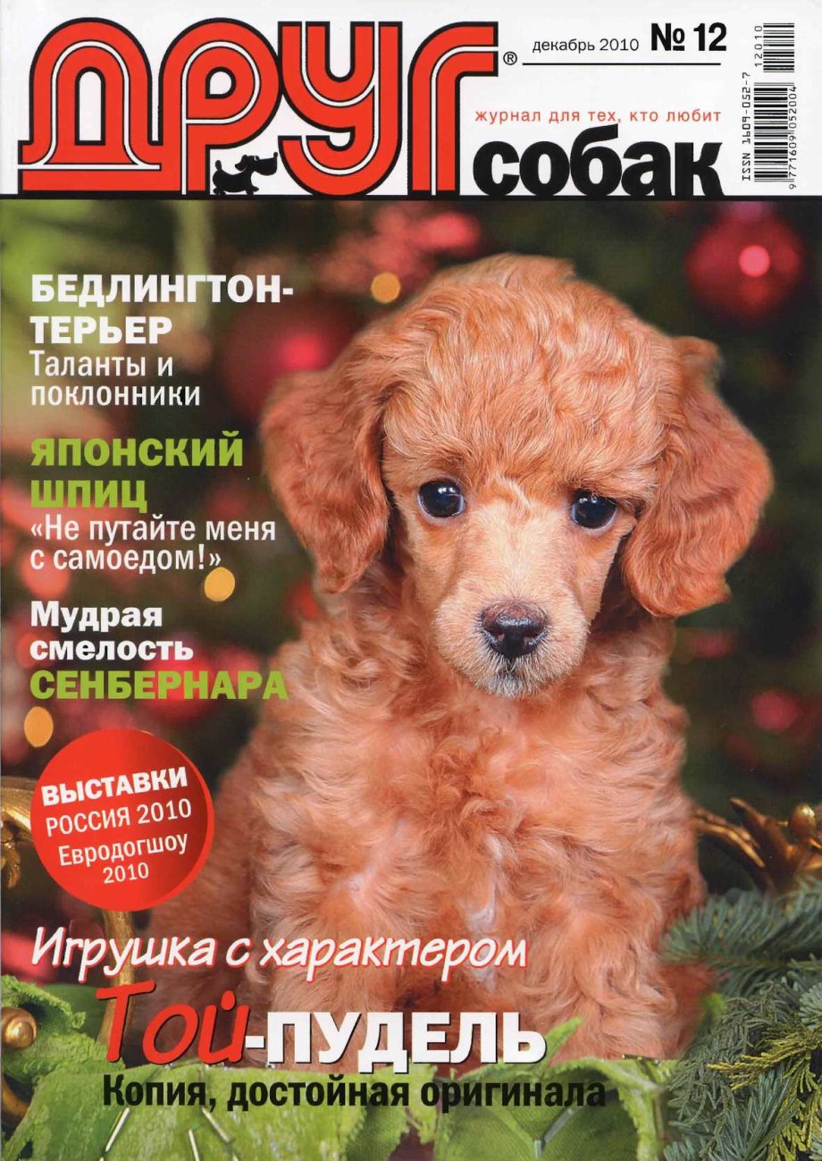 Журнал собака обложки