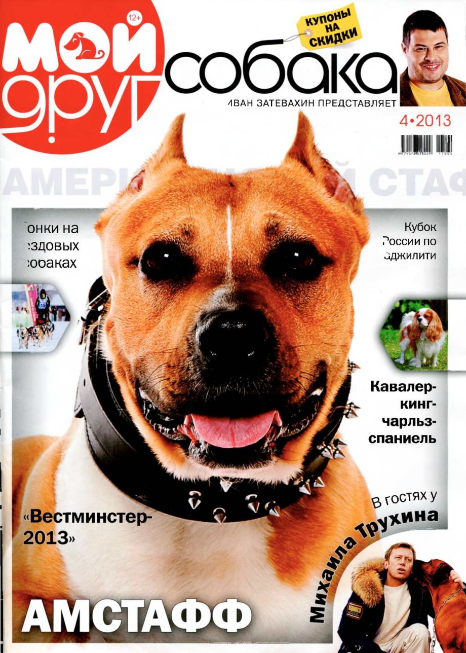 Мой друг собака журнал