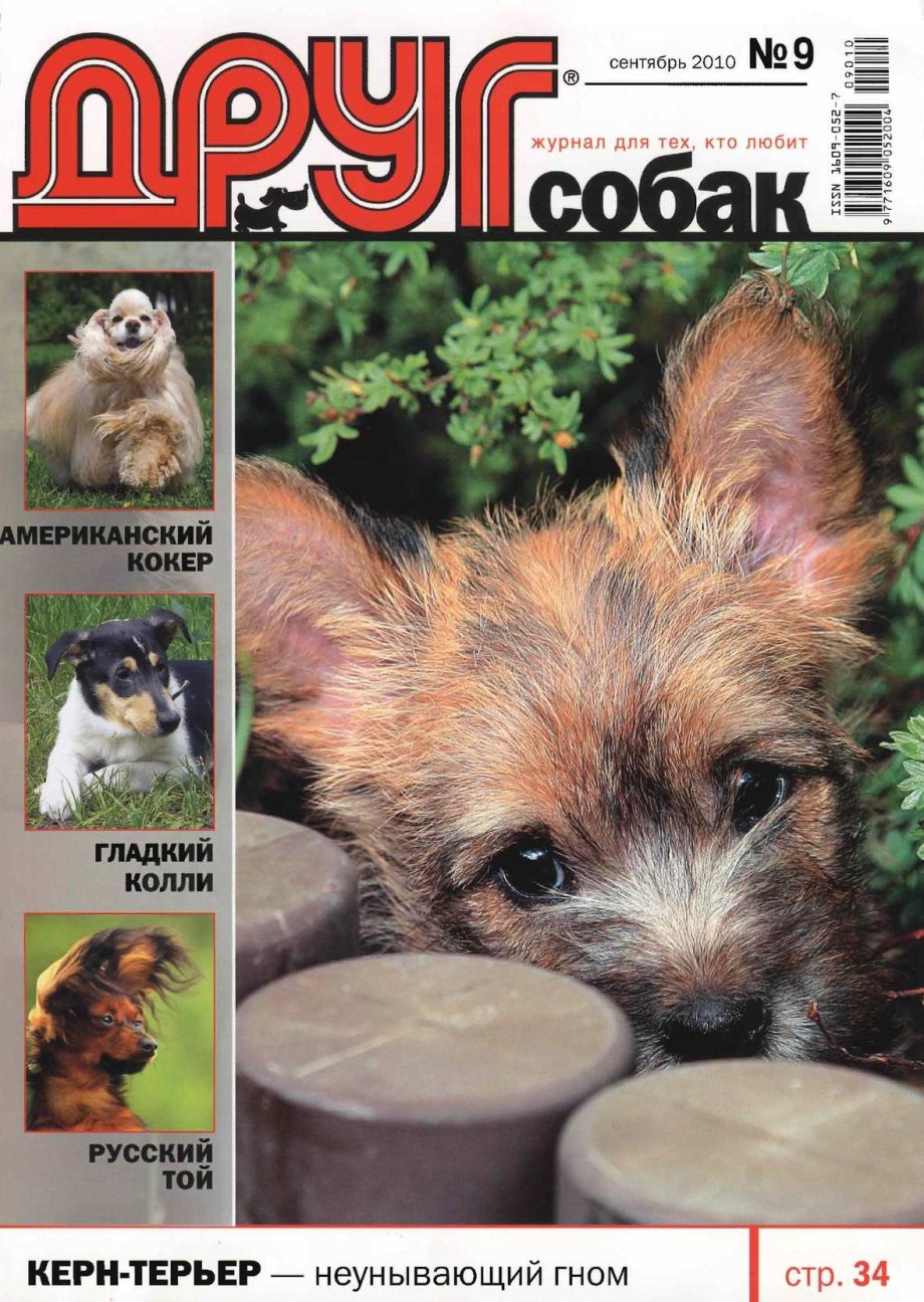 Журнал кот и пес