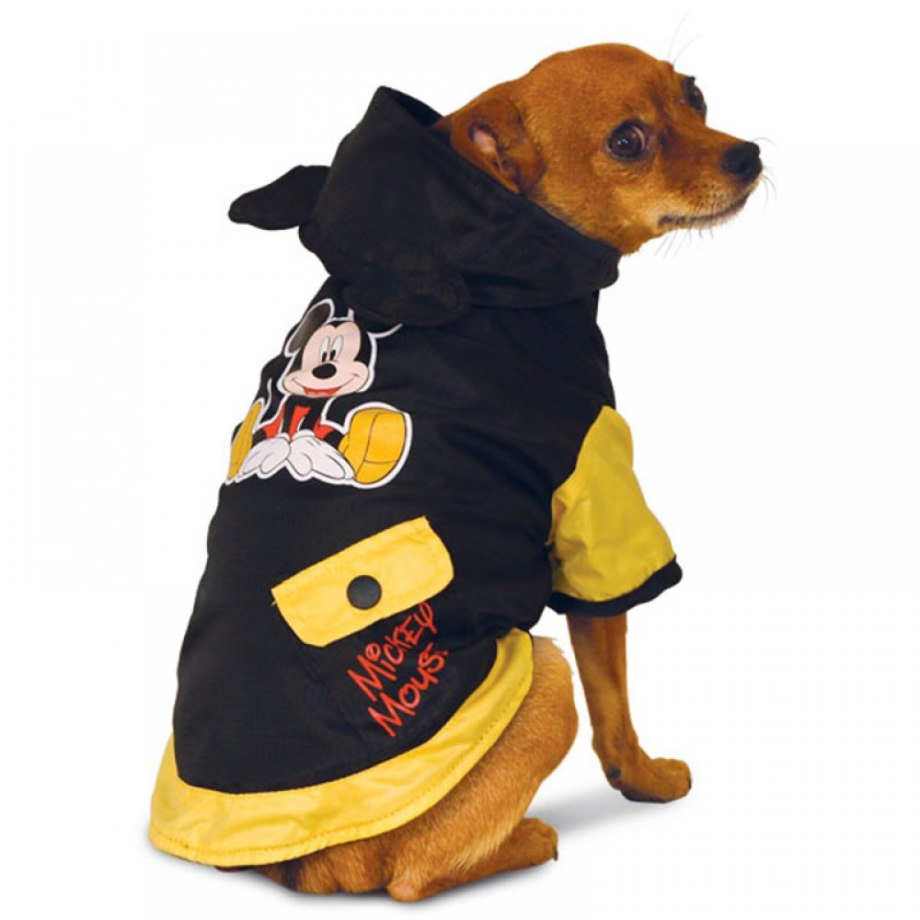Триол дождевик Mickey wd1026xs