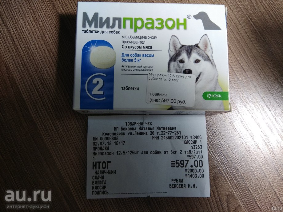 Глисты огуречный цепень