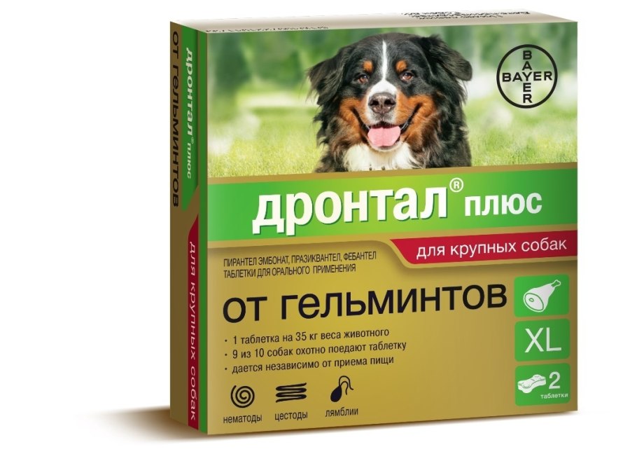 Dipylidium caninum жизненный цикл