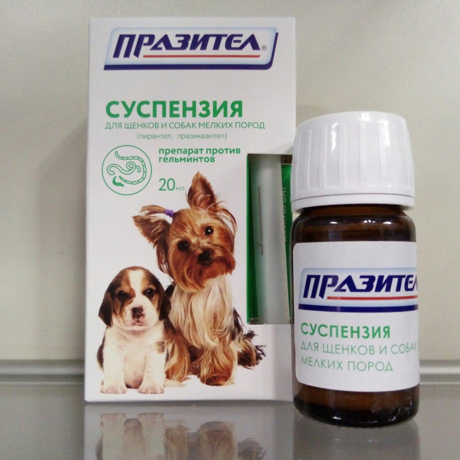 Празител суспензия 20 мл д/щенков и собак мелких пород (Астрафарм)