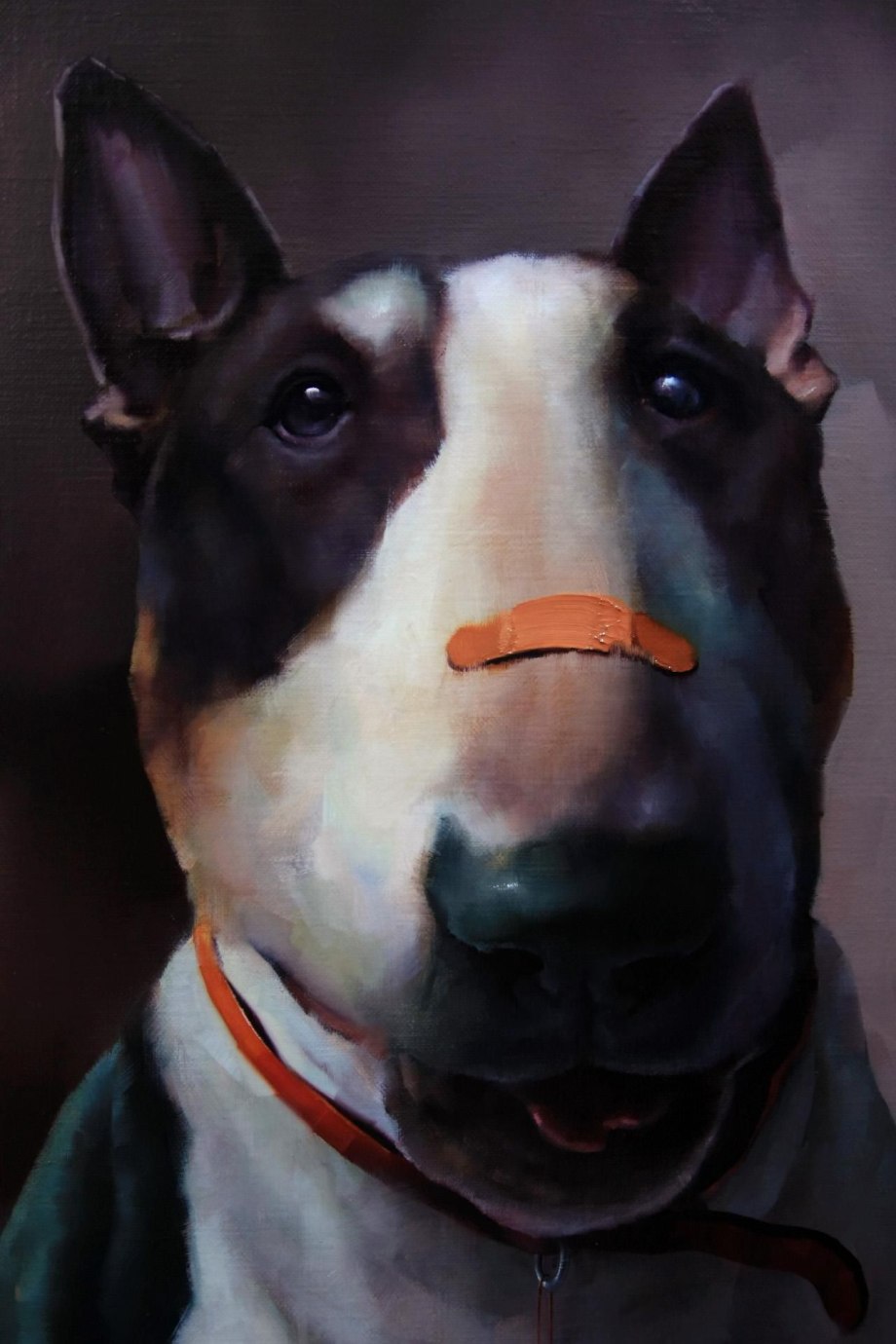 Бультерьер Black and tan