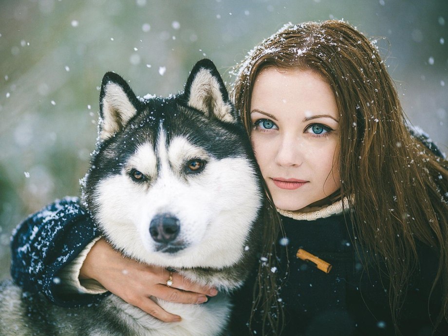 Хаски девочка