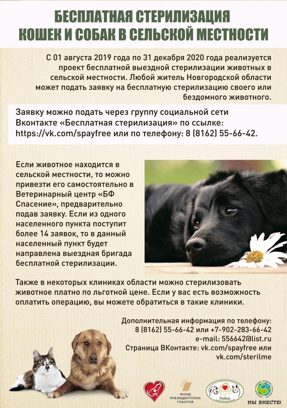 Созвездие ветеринарная клиника Москва