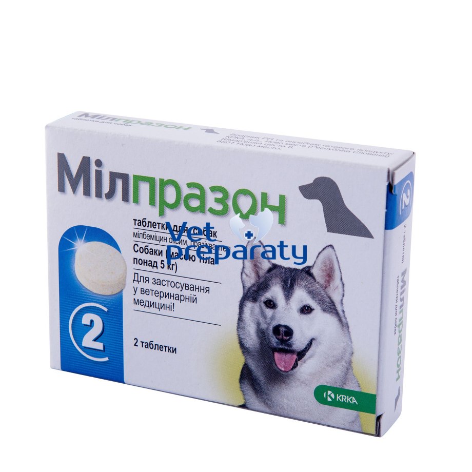 Dr Mercola probiotics for Cats and Dogs